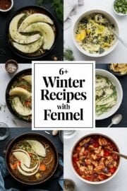 6+ Homemade Winter Recipes Featuring Fennel That Will Warm Your Heart and Home 6+ Homemade Winter Recipes Featuring Fennel That Will Warm Your Heart and Home – winter recipes with fennel