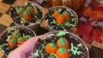 Yummy Pumpkin Patch Dirt Cups Recipe