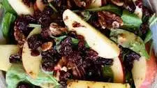 Apple Cranberry Spinach Salad Recipe