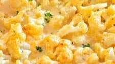 Cauliflower Gratin (Cauliflower with Cheese Sauce)