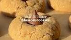 Classic Christmas Peanut Butter Blossoms Recipe