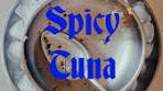 Spicy Tuna and Crispy Rice Paper I normally put tartare or a ...