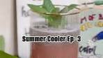 Summer Cooler Episode No 3 Pomegranate Mint Cooler ...