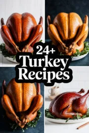 24+ Favorite Turkey Recipes to Delight Your Thanksgiving Table and Impress Your Guests! turkey-ccccc-