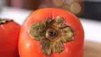Turn the season's best into a tasty treat! Persimmon chutney ...