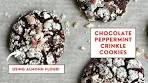 Ultra Fudgy Chocolate Peppermint Crinkle Cookies | Healthier ...