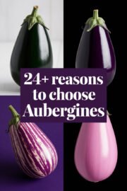 aubergines-ccccc-