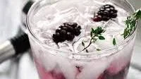 Blackberry Thyme Gin Fizz Recipe - (4.4/5)