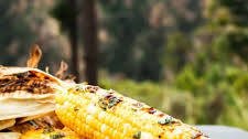 Campfire Corn On The Cob: How To Grill Sweet Corn Over The Campfire