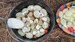 Campfire COTTAGE PIE recipe with ground Bison, baked over ...