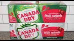 Canada Dry Fruit Splash Cherry Ginger Ale: Regular & Zero ...