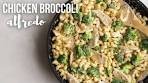 Chicken Broccoli Alfredo (ready in 35 minutes) | The Recipe ...
