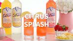 Citrus Splash Cocktail Recipe