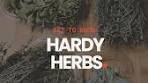 Cooking Hardy Herbs for Enhanced Flavor and Texture