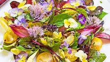 Edible Spring Flowers and Belgian Endive Salad