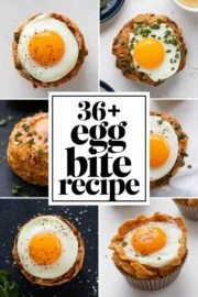 36+ Best Egg Bite Recipes You Must Try for a Delicious Breakfast! – egg bite recipe