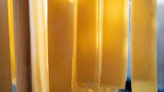 Egg Yolk Pappardelle