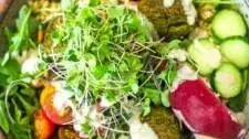 Falafel Bowl