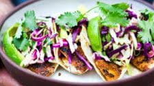 Fish Tacos with Cilantro Lime Cabbage Slaw