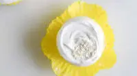 Fluffy Lemon Cupcakes with Whipped Coconut Cream