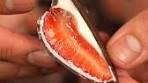 Frozen Chocolate-Covered Strawberries Ingredients: * 1 lb ...