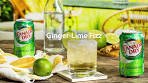 Ginger-Lime Fizz Recipe