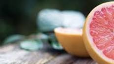 Grapefruit Yogurt To Go