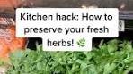 Herb Preservation Hacks to Keep Fresh Herbs Longer