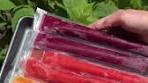Homemade Freezer Pops: Easy DIY Fruit Popsicles Recipe