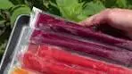 Homemade Freezer Pops: Easy DIY Fruit Popsicles Recipe