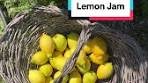 Homemade Lemon Jam Recipe: Sweet and Tangy Delight