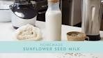 Homemade SUNFLOWER SEED Milk