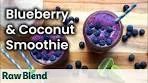 How to make a Blueberry & Coconut Smoothie in a Vitamix ...
