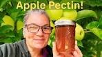 How to Make Apple Pectin at Home | Simple Recipe for Jam ...