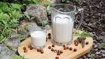 How to make hazelnut milk at home with a nut milk bag
