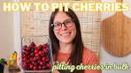 How to Pit Cherries with my FAVORITE Cherry Pitter!