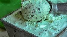 Mint Chocolate Chip Ice Cream Recipe