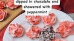Peppermint perfection! These Peppermint Bark Meringues are ...