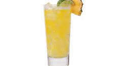Pineapple Coconut Cooler