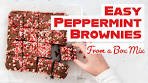 Quick and Easy Peppermint Brownies Using Box Mix!