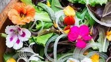 Spring Salad with Edible Flowers