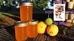 Summer Sunshine In A Jar: Triple Citrus Jelly ...