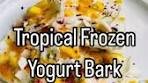 Tropical Frozen Yogurt Bark Recipe for Hot Days