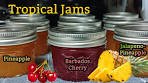Tropical Jams for SUMMER! | Barbados Cherry & Pineapple ...