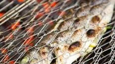 Whole Grilled Fish