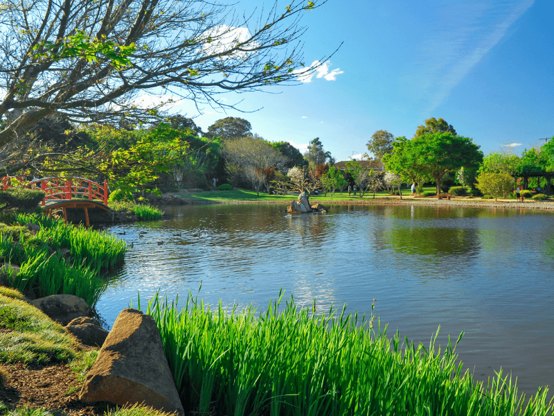 japanese garden toowoomba