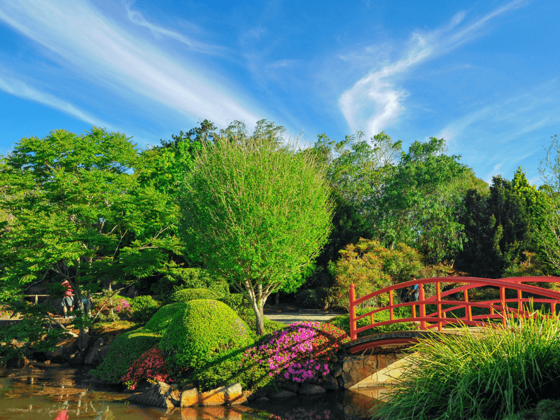 Toowoomba Queensland: Things to Do With Kids in Toowoomba Toowoomba Queensland: Things to Do With Kids in Toowoomba