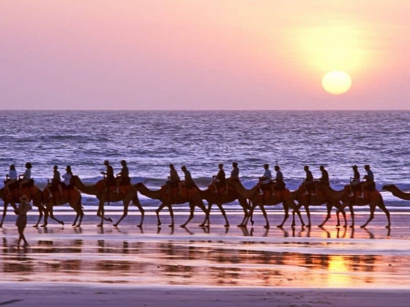 camel riding broome western australia