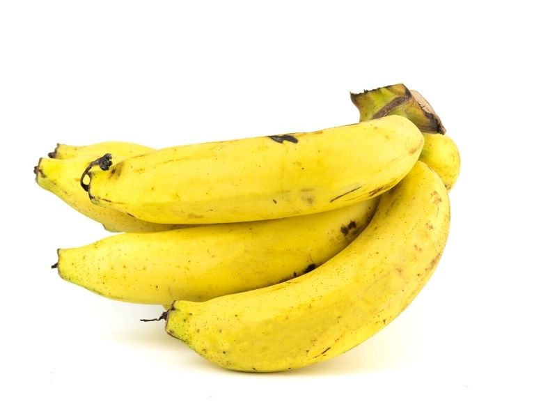 type of banana in australia - cavendish