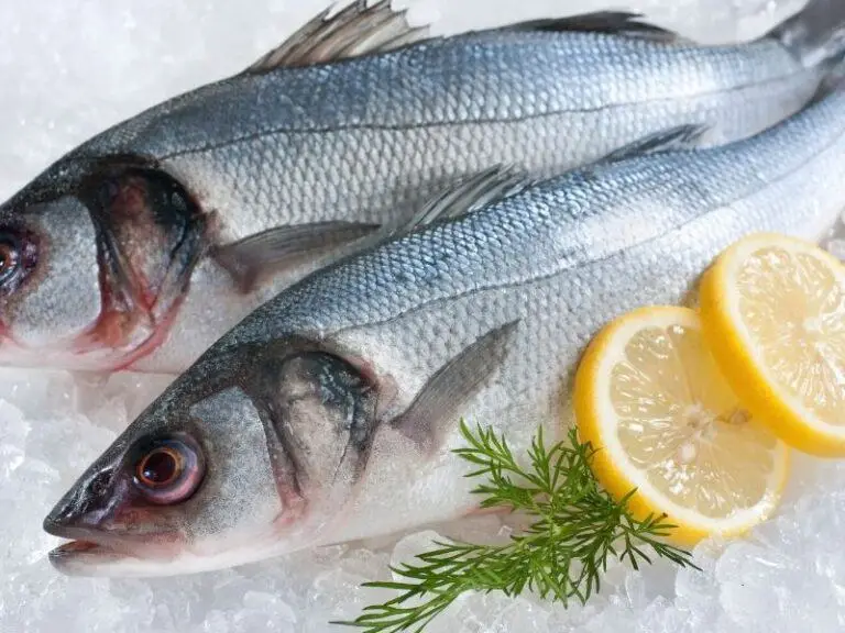 Barramundi vs Sea Bass Differences in Health Benefits, Taste and Cost